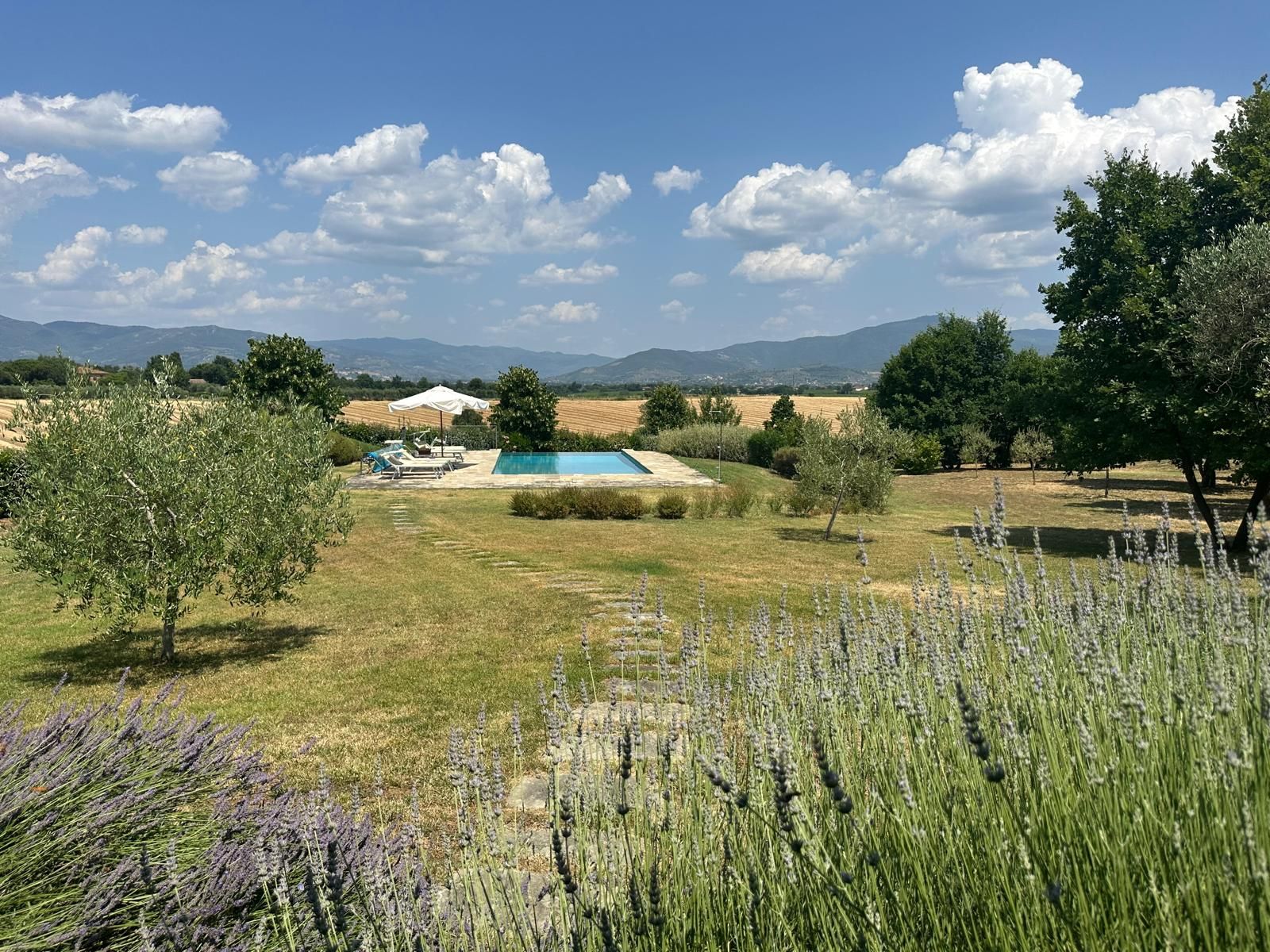 Casa Fiordalisi garden in summer