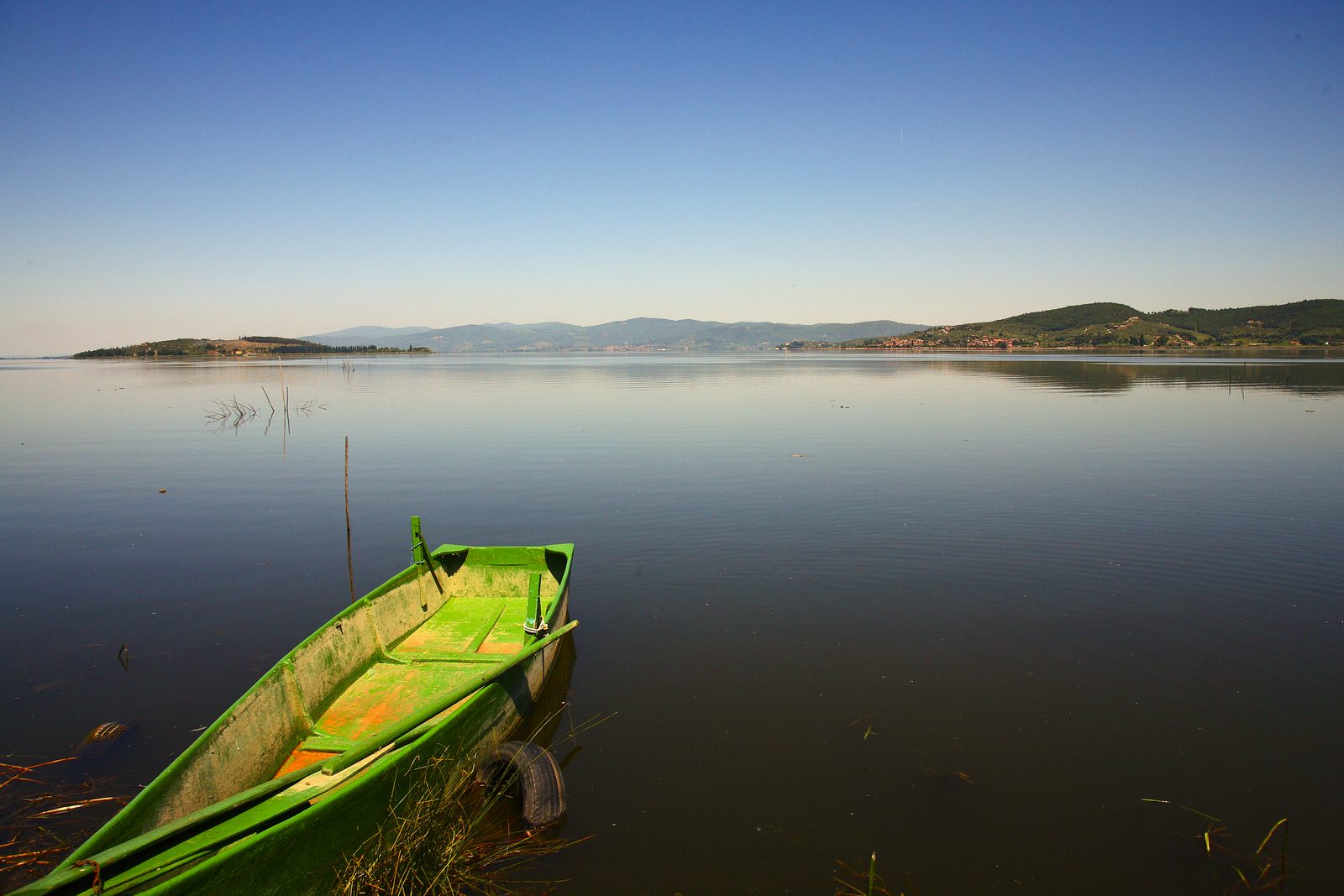 A green wooden fishing boat moored among the reeds on Lake Trasimeno