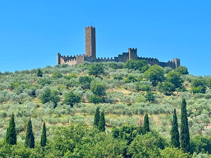 Castello di Montecchio Vesponi