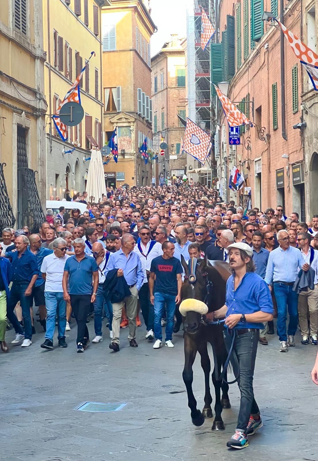 Palio jockey