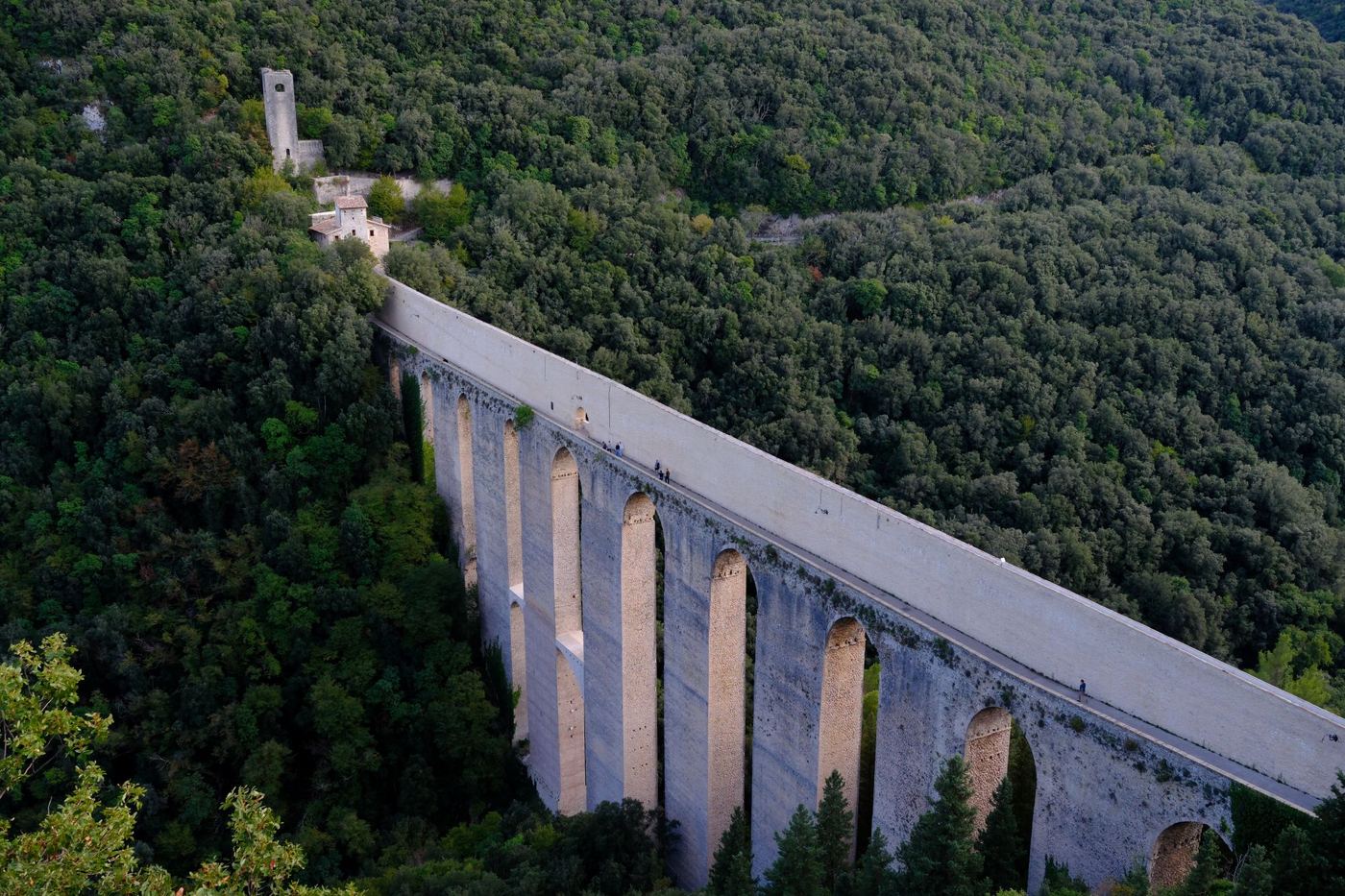 The Ponte delle Torri seen from above, crossing the wooded gorge towards Monteluco